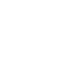 The Sinking City logo